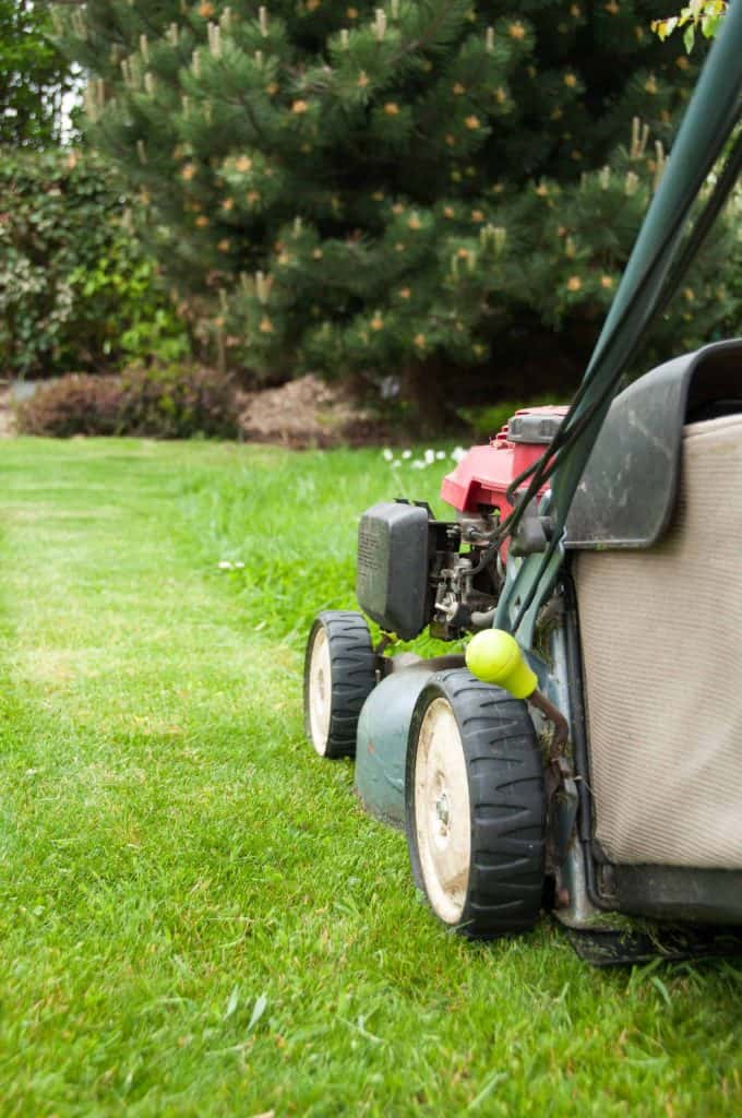 Gardening-services-lawn mower